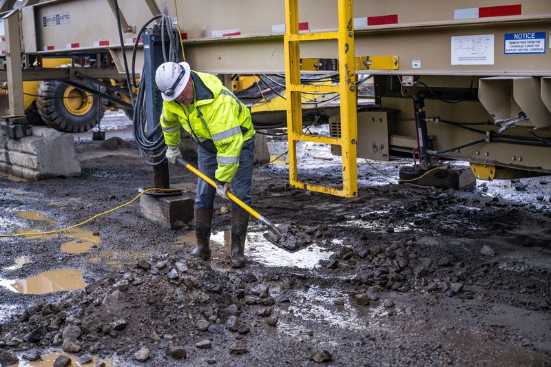 A worker in high-visibility gear at the base of a plant